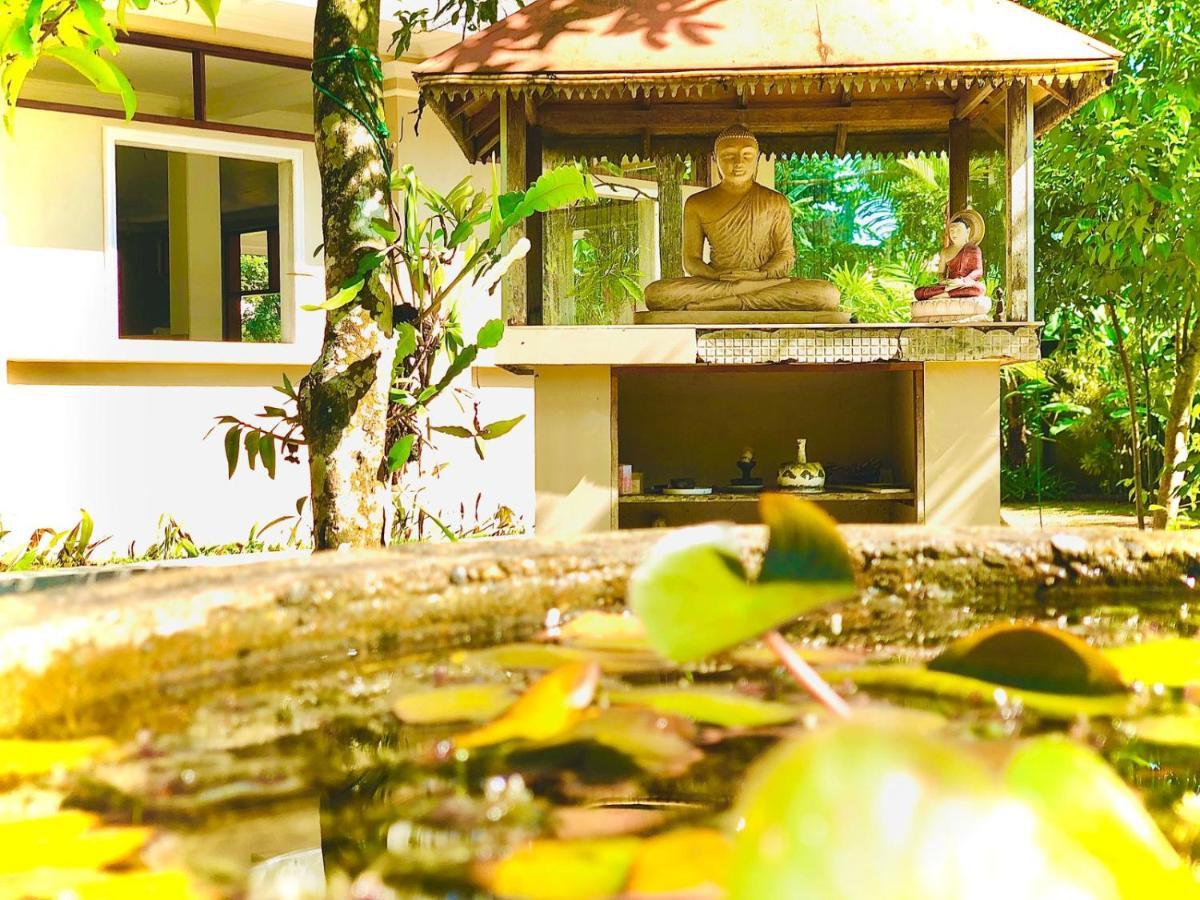 Paradise Garden Beruwala Zewnętrze zdjęcie