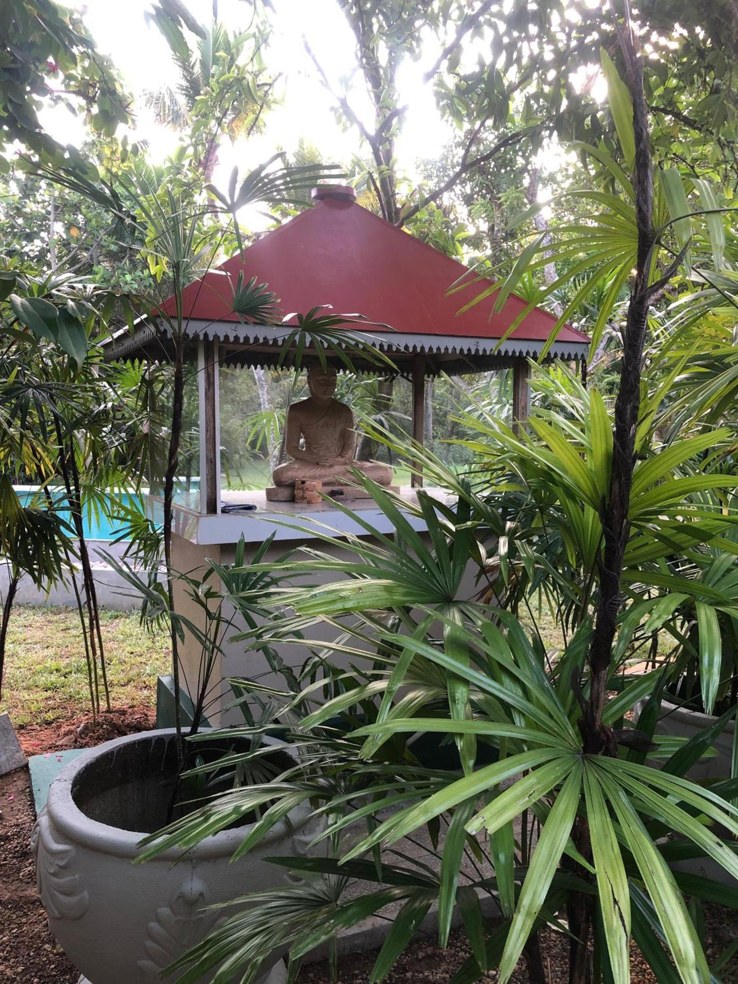 Paradise Garden Beruwala Zewnętrze zdjęcie